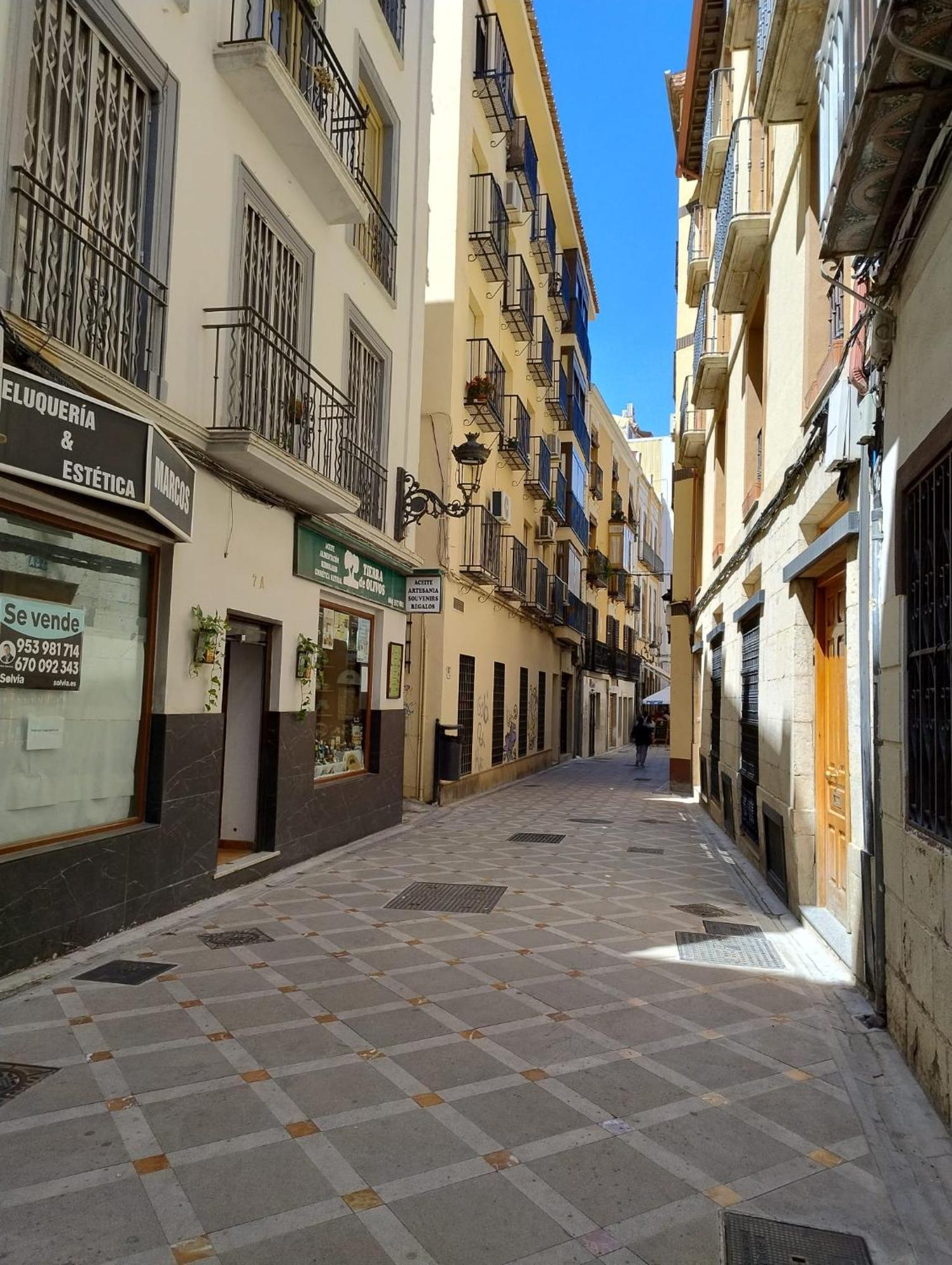 Apartment Maestra Jaén